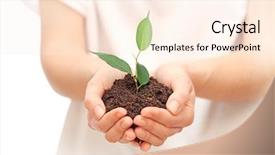  Presentation with hand holding plant - PPT theme featuring rural development - female hands holding soil background and a cream colored foreground