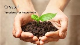  Presentation with hands holding - Amazing slide deck having rural development - male hands holding soil backdrop and a lemonade colored foreground