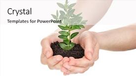  Presentation with young plant - Beautiful slide set featuring rural development - young plant in hands isolated backdrop and a white colored foreground