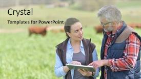  Presentation with stock control - Presentation theme enhanced with rural education - couple of stock breeders using background and a soft green colored foreground