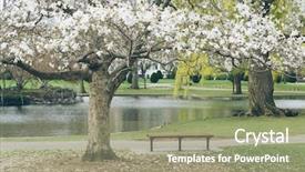  Presentation with student nurse teaching university - Audience pleasing presentation theme consisting of rural education - spring in yale university usa backdrop and a  colored foreground