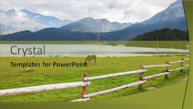  Presentation with grazing - Slides featuring rural fence along the lake shore sleek thoroughbred bay horse grazing near the moored yachts background and a gold colored foreground