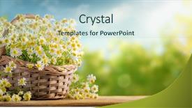  Presentation with old wooden table food - Audience pleasing PPT layouts consisting of rural health - basket of chamomile flower backdrop and a light blue colored foreground