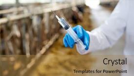  Presentation with animal agriculture - Amazing slide deck having rural healthcare - agriculture industry farming medicine animal backdrop and a coral colored foreground