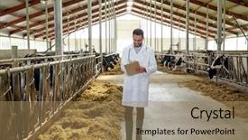  Presentation with animal agriculture - Slide deck consisting of rural healthcare - agriculture industry farming people background and a coral colored foreground