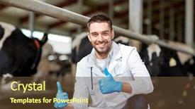  Presentation with animal agriculture - Theme having rural healthcare - agriculture industry farming people background and a tawny brown colored foreground