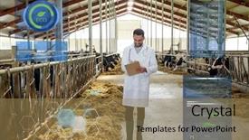  Presentation with animal agriculture - PPT theme with rural healthcare - agriculture industry people and animal background and a coral colored foreground