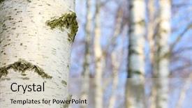  Presentation with silver - Audience pleasing theme consisting of happy muslim mom with little son backdrop and a gray colored foreground