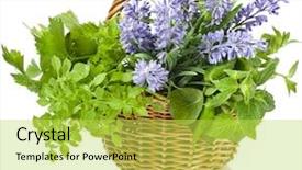  Presentation with lemongrass herb plant fresh leaves - Presentation theme with rural healthcare - fresh aromatic herbs in basket background and a yellow colored foreground