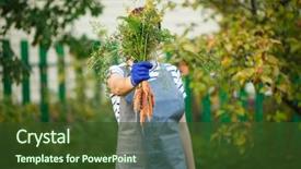  Presentation with garden - Amazing PPT layouts having rural healthcare - image of woman with carrot backdrop and a  colored foreground