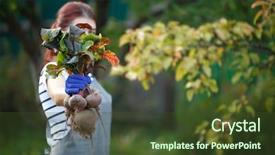  Presentation with beetroot - Cool new slides with rural healthcare - photo of brunette woman backdrop and a  colored foreground