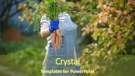  Presentation with garden - Audience pleasing slides consisting of rural healthcare - photo of woman with carrot backdrop and a tawny brown colored foreground