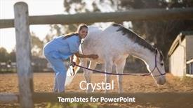  Presentation with portrait of a horse - Colorful presentation design enhanced with rural healthcare - portrait of female veterinarian examining backdrop and a  colored foreground