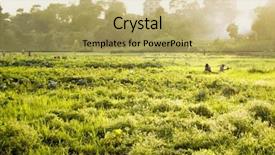  Presentation with rural india - Cool new slide set with rural india - labors working in rice field backdrop and a yellow colored foreground