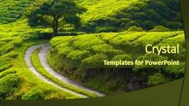  Presentation with rural road - Amazing presentation design having rural india - tea meadow with road backdrop and a tawny brown colored foreground