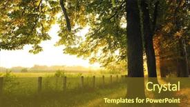  Presentation with light rays - Beautiful presentation theme featuring rural landscape - beautiful fresh morning with sun backdrop and a tawny brown colored foreground