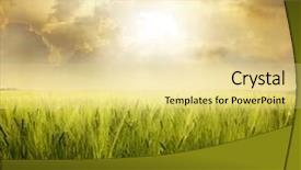  Presentation with summer wheat field blue - Beautiful PPT layouts featuring rural landscape - field of wheat over blue backdrop and a blonde colored foreground