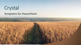  Presentation with oat - Cool new slides with rural landscape at dawn terrain backdrop and a sky blue colored foreground