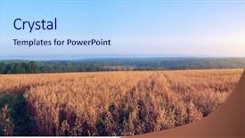  Presentation with oat - Audience pleasing theme consisting of rural landscape at dawn backdrop and a light blue colored foreground