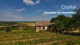  Presentation with region - PPT theme enhanced with rural-landscape-of-a-wine background and a  colored foreground