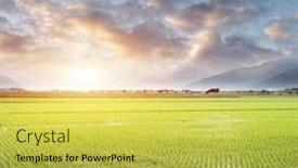  Presentation with rural - Cool new slide deck with rural landscape of green paddy backdrop and a yellow colored foreground