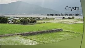  Presentation with rural india paddy field green - Beautiful theme featuring rural landscape of green paddy backdrop and a light gray colored foreground