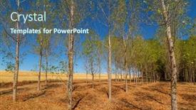  Presentation with dark forest landscape - Presentation design enhanced with rural-landscape-of-north background and a  colored foreground