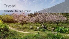  Presentation with rural - Slides featuring rural-landscape-peach-blossom background and a light blue colored foreground