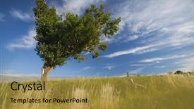  Presentation with heart shape tree - Presentation design consisting of rural landscape with heart shape background and a  colored foreground