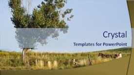  Presentation with heart shape from natural tree - Colorful theme enhanced with rural landscape with heart shape backdrop and a  colored foreground