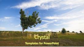  Presentation with heart shape tree - Amazing theme having rural landscape with heart shape backdrop and a  colored foreground