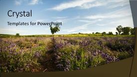  Presentation with heart shape from natural tree - Beautiful slides featuring rural landscape with heart shape backdrop and a  colored foreground