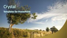  Presentation with heart shape from natural tree - Audience pleasing slides consisting of rural landscape with heart shape backdrop and a ocean colored foreground