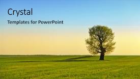  Presentation with lonely - Presentation theme enhanced with rural landscape with lonely tree background and a light blue colored foreground