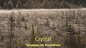  Presentation with rural - Presentation theme with rural-landscape-with-meadow background and a tawny brown colored foreground