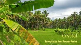  Presentation with rural india - Slides having rural-landscape-with-palm-trees background and a tawny brown colored foreground