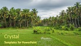  Presentation with rural india - Beautiful presentation theme featuring rural-landscape-with-palm-trees backdrop and a tawny brown colored foreground