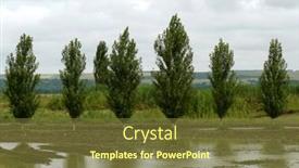  Presentation with rural - Slide set featuring rural-landscape-with-poplar-windbreak background and a tawny brown colored foreground