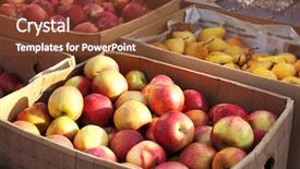  Presentation with cardboard - Cool new presentation design with rural marketing - fresh fruits in cardboard boxes backdrop and a tawny brown colored foreground