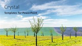  Presentation with minimal - Beautiful slide deck featuring rural-minimal-spring-landscape backdrop and a light blue colored foreground