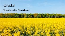  Presentation with global warming - Slide set with rural place of ukraine europe background and a light blue colored foreground