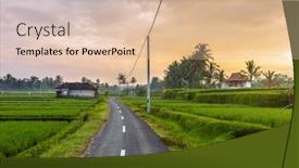  Presentation with rice fields - Presentation design featuring  background and a  colored foreground