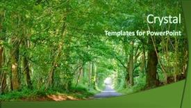  Presentation with rural road - Slides having rural road forming a tunnel background and a forest green colored foreground