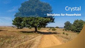  Presentation with agricultural - PPT theme with rural-road-in-the-spanish background and a  colored foreground