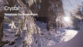  Presentation with winter road and branch - Amazing presentation theme having rural road on beatiful winter backdrop and a dark gray colored foreground