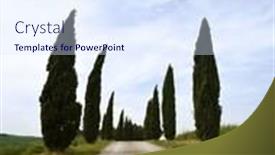  Presentation with rural road - Beautiful PPT theme featuring rural road seamed with cypress trees in the tuscany backdrop and a sky blue colored foreground