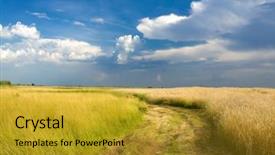  Presentation with golden 50th anniversary - Beautiful theme featuring rural roads - golden summer landscape backdrop and a gold colored foreground