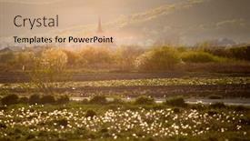  Presentation with rural - Presentation with rural-scene-with-dandelion-field background and a coral colored foreground