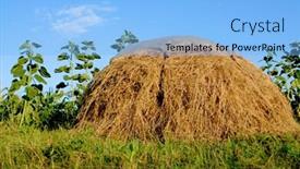  Presentation with scene - PPT layouts with rural-scene-with-haystack background and a light blue colored foreground