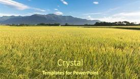  Presentation with taiwan - PPT layouts consisting of pharmaceutical - pharmacist a laboratory worker background and a light blue colored foreground.